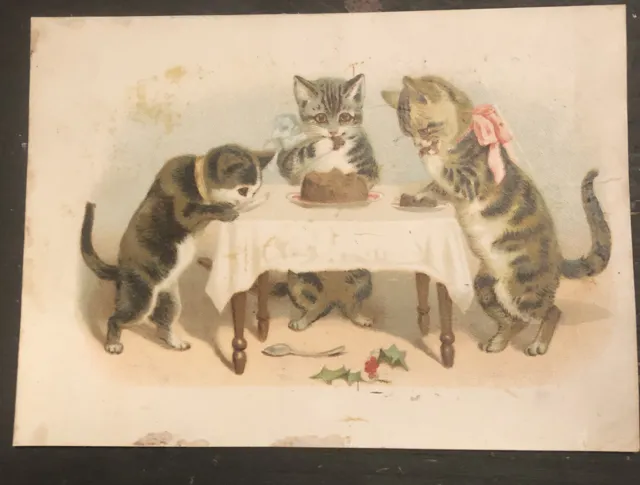 1800’s  VICTORIAN TRADE CARD WOOLSON SPICE LION COFFEE
