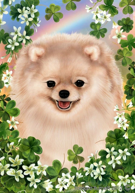 Clover Garden Flag - Cream Pomeranian 314341