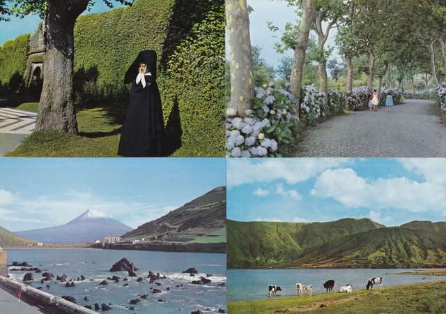 LOT DE 4 cartes postales postcards 10x15cm PORTUGAL ACORES 2 EUR 2,95 ...