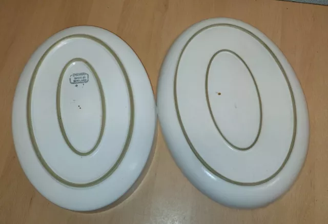 Denby Gypsy Oval Serving Plate Platter & Oven Dish 2