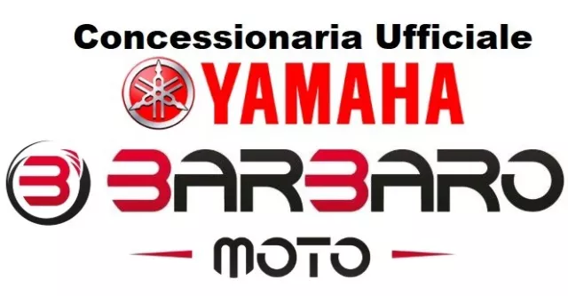 Parafango Posteriore Portatarga Yamaha Xc 300 Versity Mbk Kilibre 300 3