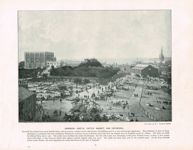 Norwich Castle Cattle Market Cathedral Norfolk Antique Old Print c1896 PEAW#65