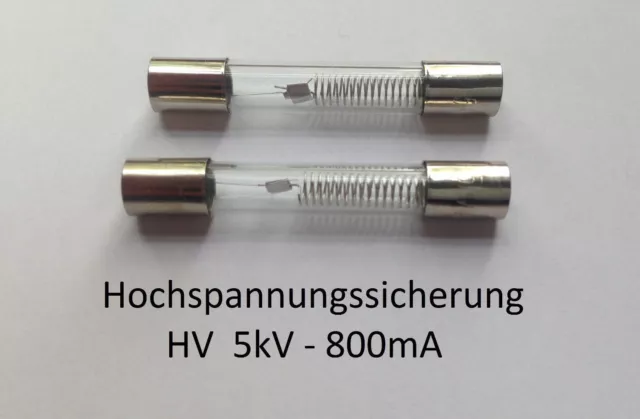 2x Sicherung für Mikrowelle 5kV 0,8A 800mA Hochspannungssicherung HV 5000V Fuse