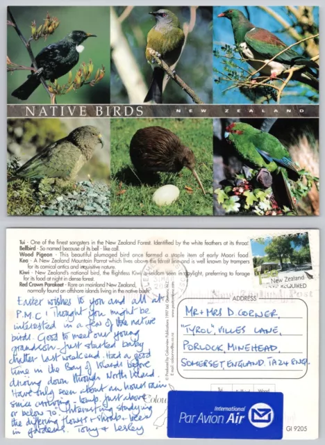 c27075 einheimische Vögel Neuseeland Postkarte 2004 Briefmarke