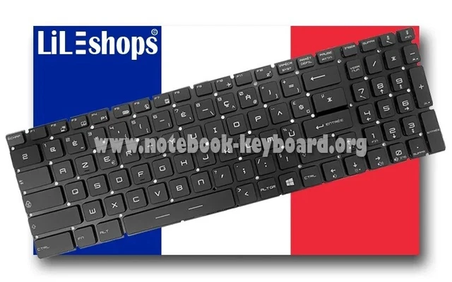 Dalle pour MSI LEOPARD GP66 11UG-005FR