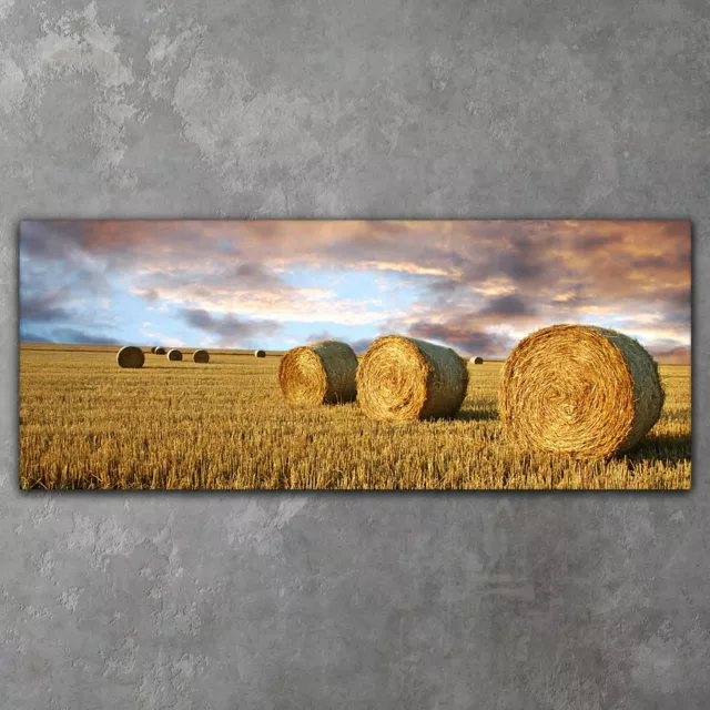 Leinwand Wandbilder Canvas XXL Wohnzimmer Stroh rollt Himmel 125x50