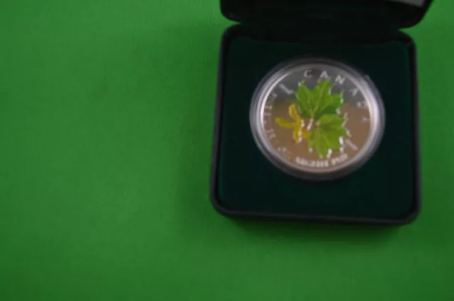 2002  -  Coloured  1 Oz Pure Silver Maple Leaf 2