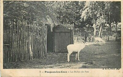 58 Pougues-Les-Eaux Les Biches Du Parc
