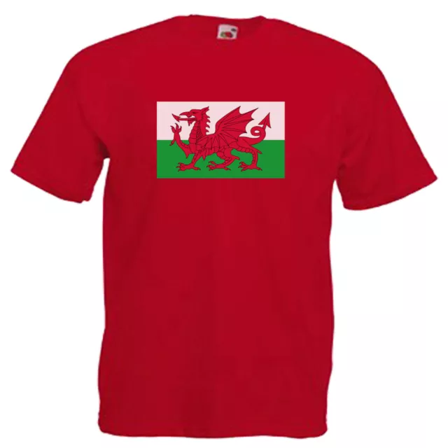 T-shirt da uomo adulti bandiera gallese drago gallese bandiera 12 colori taglia S - 3XL