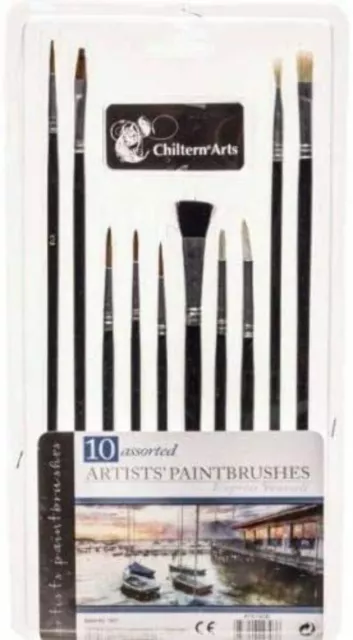 Pack Of 10 Artist Paint Craft Brushes Round Flat Pointed Tipped Brushes