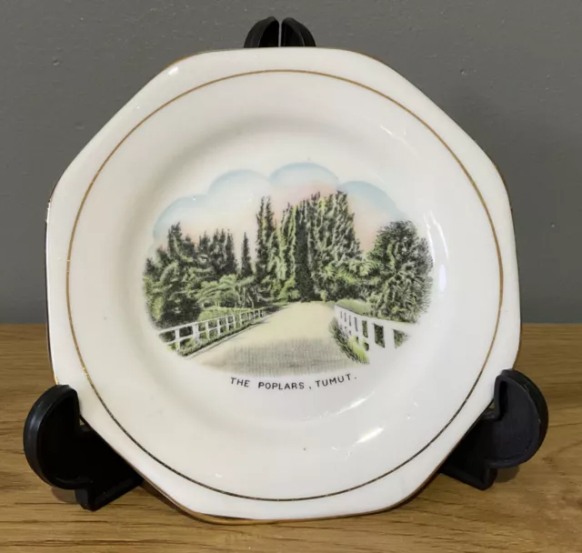 The Poplars Tumut NSW VINTAGE Small Plate Souvenir Royal Stafford Bone China VGC