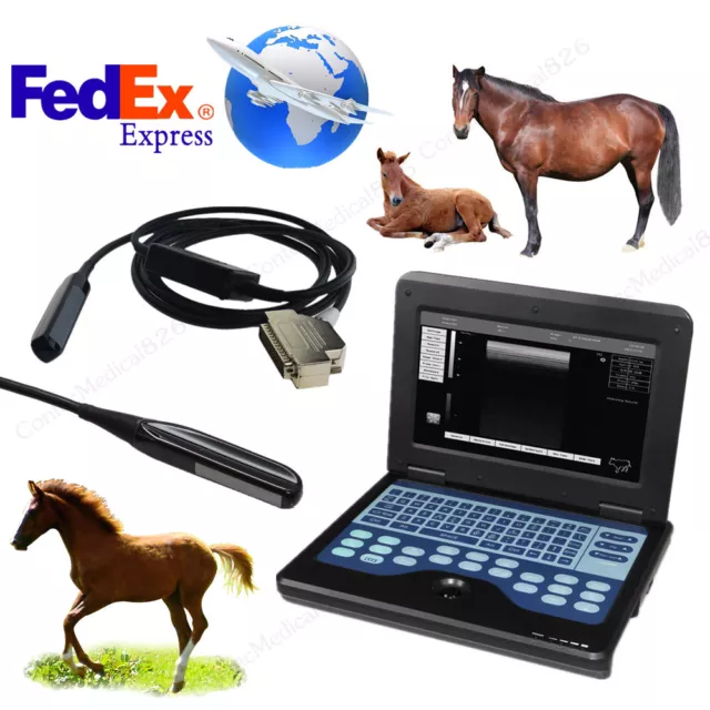 Veterinary Bovine & equine Ultrasound Scanner Horse laptop Machine Rectal Probe