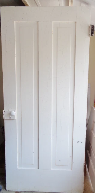 1800's Antique White Wood DOOR Interior Two Raised Panel Door