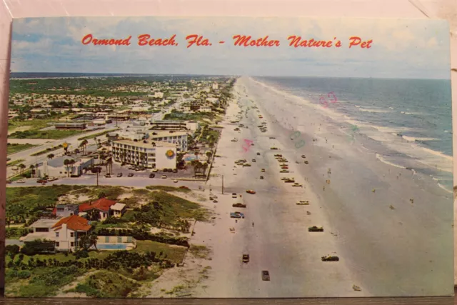 Florida FL Ormond Beach Mother Nature Pet Postcard Old Vintage Card View Post PC