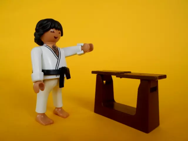 ⭐️ Playmobil Serie 6 - 5458 - The Karateka - New
