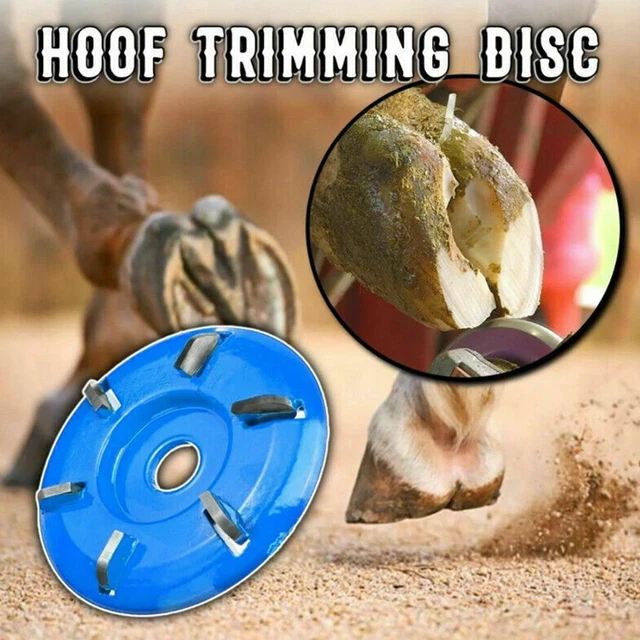 Tondeuse électrique Professionnelle Pour Moutons, Chèvres
