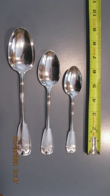 Tiffany Palm Sterling Silver Tea spoon  6"