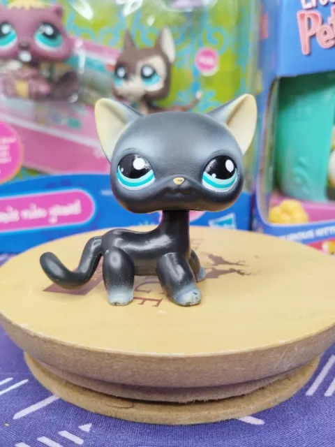 Littlest Petshop Lps Chat Européen Cat Kitty Shorthair 336