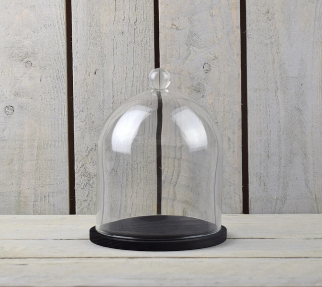 EMH Handgemaakte Clear Circulaire Grote Glazen Display Cloche Dome Bell Met Knop en Natuurlijke Houten Basis 40 x 25 cm