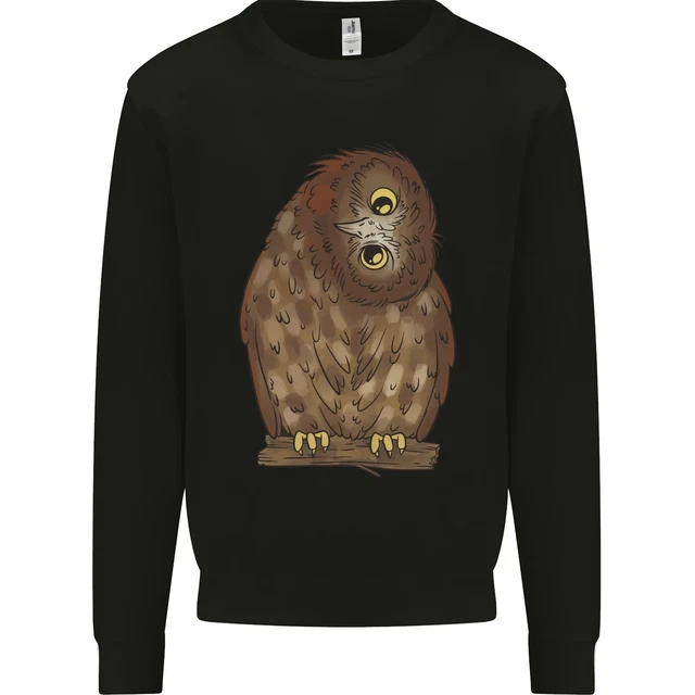 A Funny Owl Kids Sweatshirt Jumper