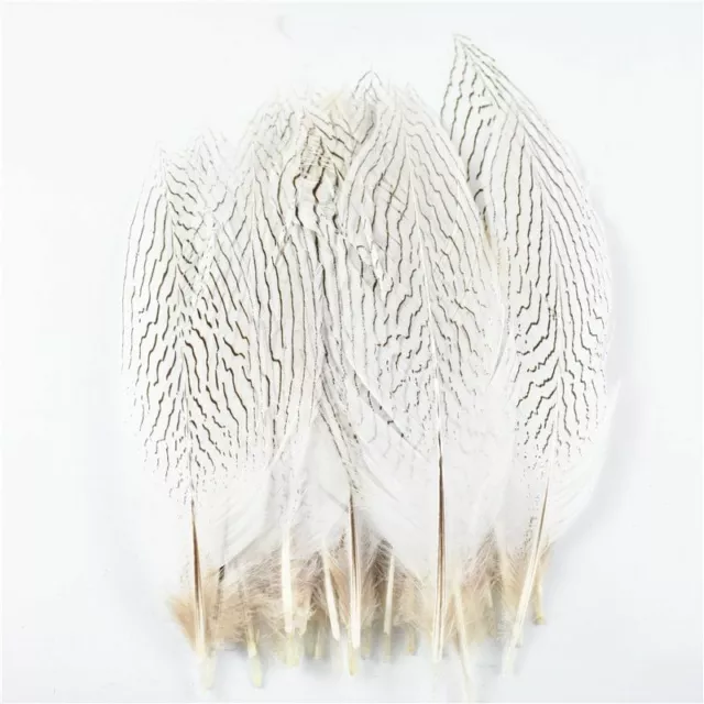 Natural Turkey Spotted Feathers, 30Pcs Pheasant Feathers for