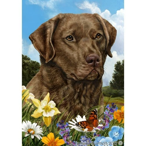 Summer House Flag - Chesapeake Bay Retriever 18070