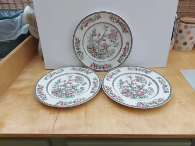 Indian Tree Johnson Bros. England Trio of Dinner Plates 25.5cm/10" Preloved