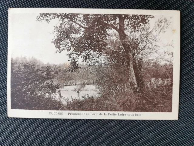 CPA 58 COSNE - Promenade au Bord de la Petite Loire sous Bois
