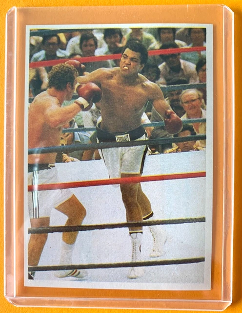 BOXING STAR USA MOHAMED ALI CASSIUS CLAY ROOKIE CARD FRENCH EDITION 90's EUR 24,99 - PicClick FR BOXING STAR USA MOHAMED ALI CASSIUS CLAY ROOKIE CARD FRENCH EDITION 90's EUR 24,99 - PicClick FR