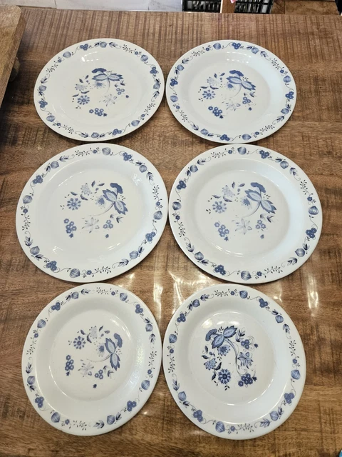 Lot 6 Assiettes Creuses Arcopal - Modèle Veronica Myosotis - Diamètre 22,5 Cm - Vintage Années 70 - Neuf