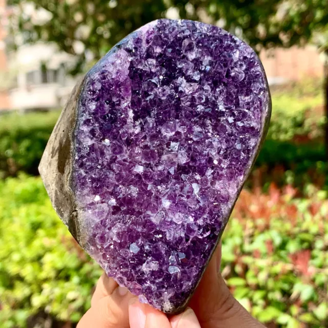 408G Natural Amethyst geode quartz cluster crystal specimen Healing