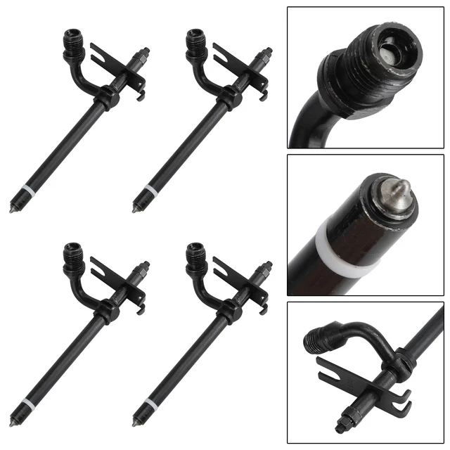 ♡ 亀甲竜 塊根植物 アーチデザイン 塊根植物 亀甲竜 5寸鉢 | 鉢花・