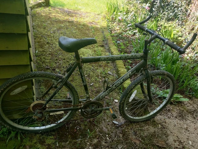 Excel black sales bullet mountain bike
