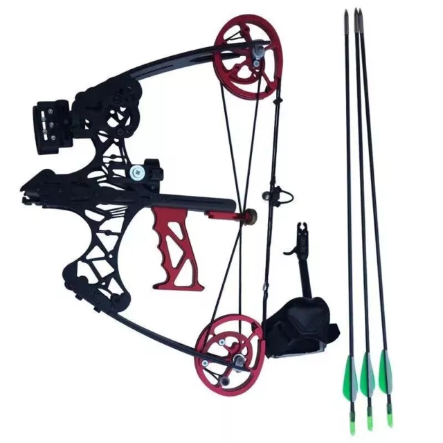 45LBS MINI COMPOUND Bow Set Steel Ball Arrows Fishing Hunting Dual-use  Archery £159.99 - PicClick UK