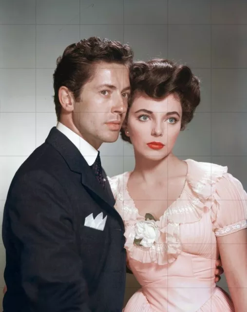 JOAN COLLINS - FARLEY GRANGER - 10" x 8" Colour Photo GIRL RED VELVET SWING