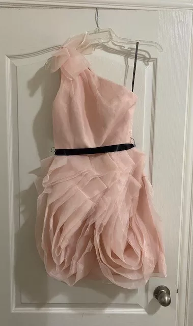 WHITE by Vera Wang Pink Organza Dress - Size 2