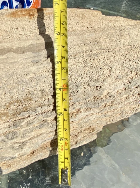 IMPRESSIVE* 29.11 Lb Petrified Fossil Wood Log Covered In Large Druzy-Over 20” L 6