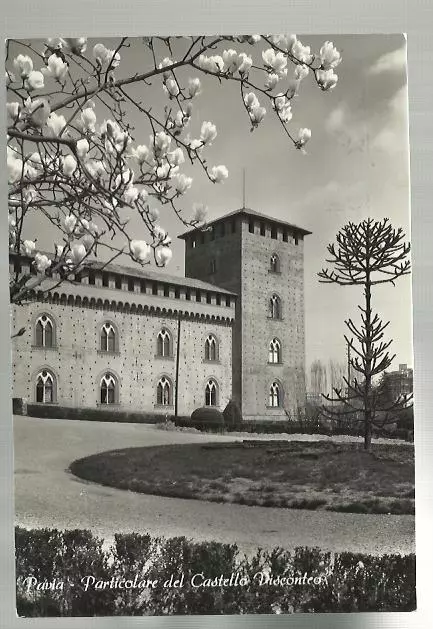 Vecchia Cartolina Di Pavia Particolare Del Castello Visconteo