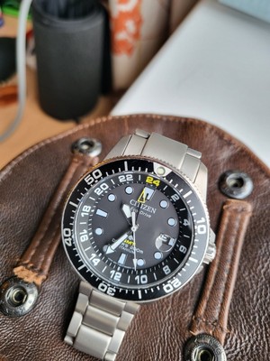 promaster diver gmt