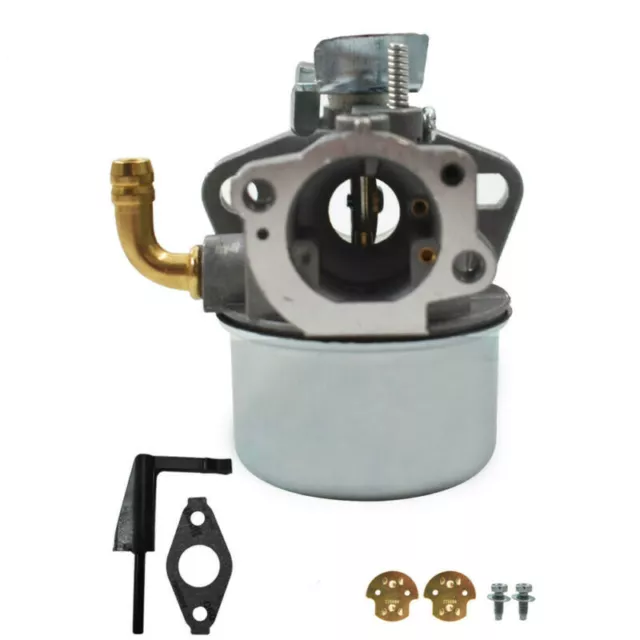 Carburetor for Briggs & Stratton 698479 591925 698475 693518 With Gaskets