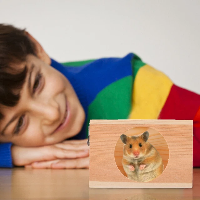 Pet Soft Lit Pour Cochon D'Inde, Lit Pour Lapin, Cochon D'Inde, Cachette Pour Lapins, Hamster, Lapin, Rats, Chinchilla (étoiles Bleues