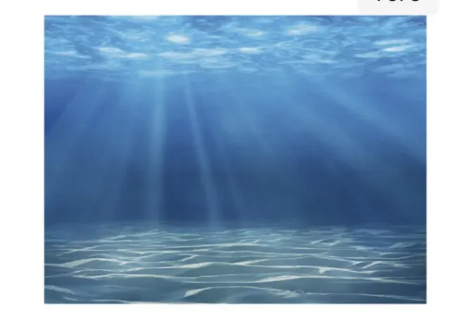 Top Fin Reversible Cave & Ocean Floor Aquarium Fish Tank Background 24”x 12”