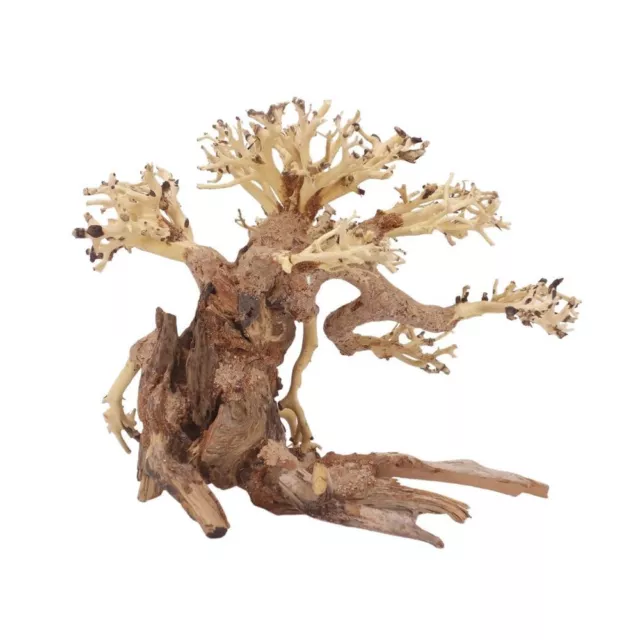 L Bonsaï Arbre Nr.11342 Racine Bois Aquarium Déco Aquascaping Nature Oriental