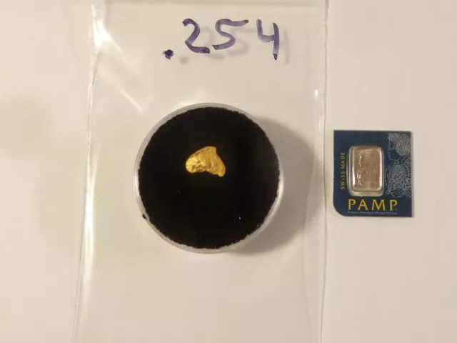 1 gram Platinum bar Pamp Suisse  and  Very Unusual  Natural Solid Gold Nugget