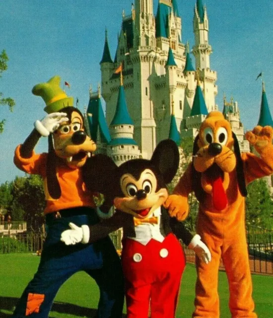 Disneyland Mickey Pluto Goofy Donald Duck Minnie Castle 1990s 4x6 Postcard  A19