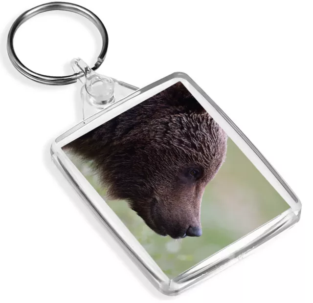 Wild Brown Bear Keyring Animal Bears Canada Mum Auntie Gran Keyring Gift #14176