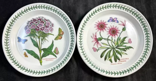 Portmeirion Jardin Botanique Groupe De 2 Salade Assiettes Trésor Fleur Sucré