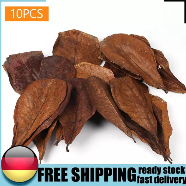 10pcs Almond Leaf Cleaning Tools Adjust PH Value Natural for Fish Tank Aquarium