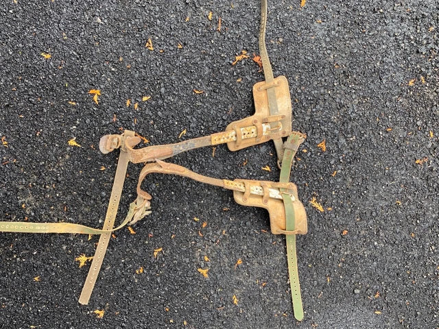 lineman climbing spurs / spikes 
