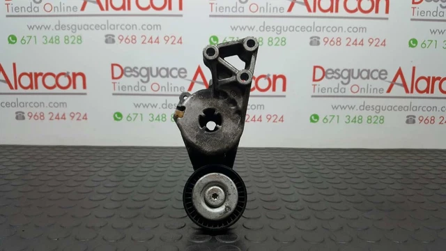 410366 Tendeur De Courroie Auxiliaire Pour Volkswagen Golf V Berlina (1K1) | 06A